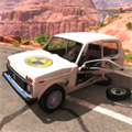 Car Crash Teat NIVA